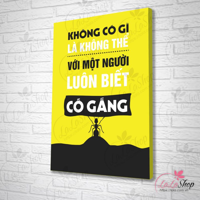Thế giới cờ vải
